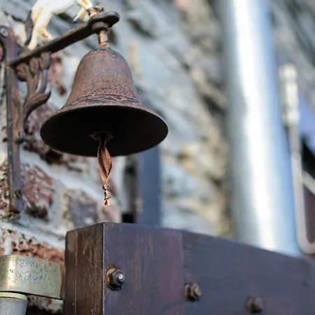 Hébergement de vacances La Petite Baraque Vielsalm