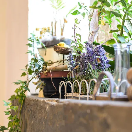 La Petite Baraque Vielsalm