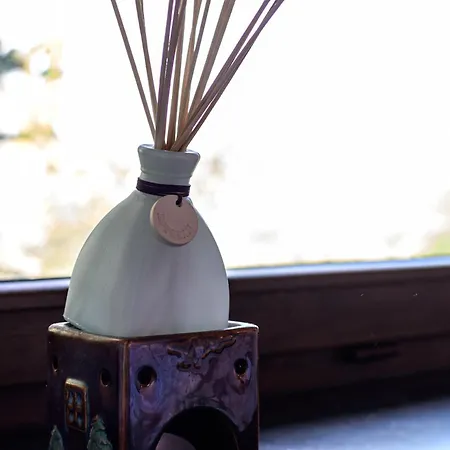 La Petite Baraque Сasa de vacaciones Vielsalm